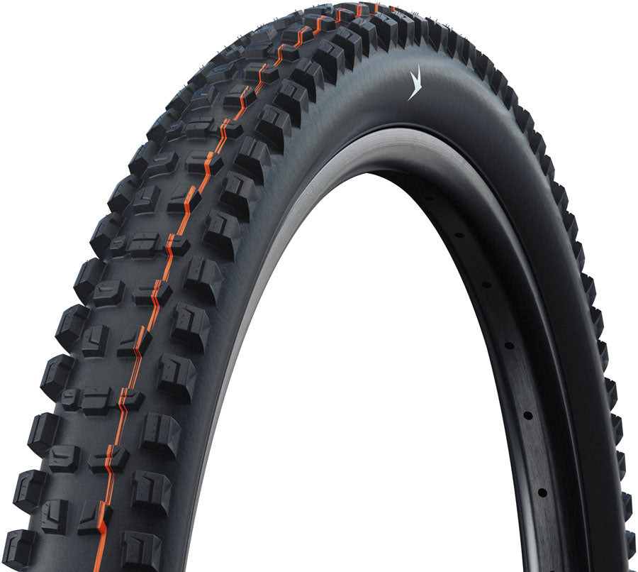 Schwalbe Romy Tire - 29 x 2.50 Tubeless Folding BLK Pro Gravity Soft Radial E-50